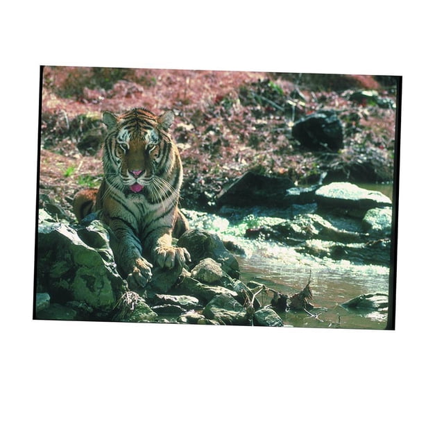 Milaget Autocollant de Fond d'Aquarium 3D Papier Peint Réservoir Image Décoration TG