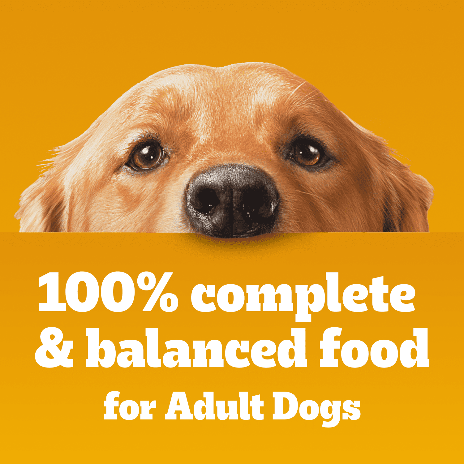 PEDIGREE Chopped Chicken and Rice & Beef Adult Wet Dog Food 9kg