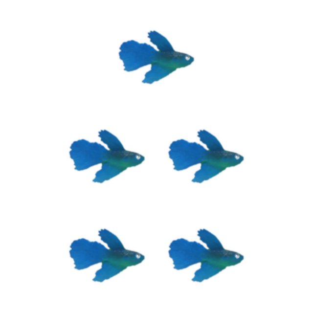 Thinsony Magnifiquement Conçu Simulation Artificielle Lumineuse Poisson Rouge pour les Aquariums Tan blue 5Set