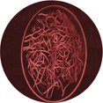 thumbnail image 1 of Ahgly Tapis Rond Lavable en Machine Intérieur Transitionnel Rouge Brique, 4 Pieds Rond, 1 of 7