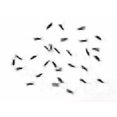thumbnail image 2 of APEVIA Black Case Fan Screws 30 in 1 Pack FS-30BK, 2 of 4