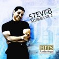 thumbnail image 1 of Hits Anthology, Vol. 2 (Stevie B), 1 of 1