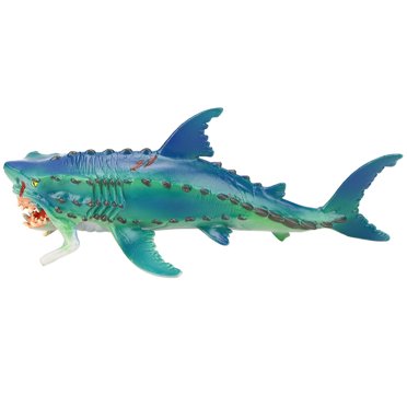 Figurines d'Animaux Sharks Figurine d'Action Jouets de Simulation Vie Marine Blanc pour Enfants M‑1332