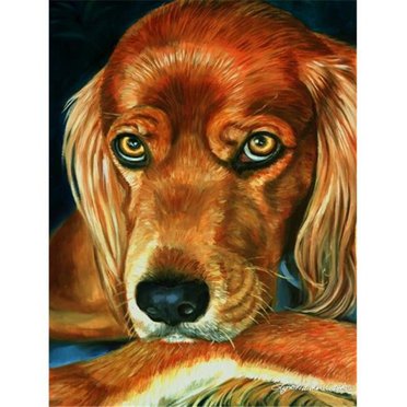 Carolines Treasures 7315CHF Irish Setter Serious Flag Canvas House Size