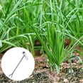 thumbnail image 4 of Transplanteur de Semis Outil de Jardin Robuste pour Oignons Verts Durable Robuste Facile à Utiliser Outil de Jardinage, 4 of 6