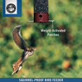 thumbnail image 3 of Droll Yankees YCPD-90-M Squirrel Proof Dipper Collapsing Perch Bird Feeder, 5-Pounds, Burgundy, 3 of 8