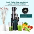 thumbnail image 4 of Inkbirdplus 200W Compact Slow Juicer Machine,800ML Electric Cold Press Juicer Machine,3.1'' Wide Chute, 4 of 13