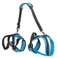 thumbnail image 4 of Harnais de Levage Rembourré pour Chien avec Poignée et Sangle de Levage, 4 of 8