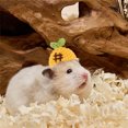 thumbnail image 3 of Adorable Hat for Small and Cats with Adjustable Strap Soft Breathable Outdoor, 3 of 4