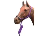 thumbnail image 1 of Jacks 4320-PU Corde Perlée de 8 Pieds avec Halter et Plomb, Violet, 1 of 1