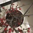 thumbnail image 3 of Clay Pebbles Hydroton Orchids Aquaculture Filter Anion Organic Expanded Clay, 3 of 8