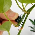 thumbnail image 2 of Cameland 20PCS/100PCS Phalaenopsis Flower Fixing Clip For Horticultural VINESs Support Branch Clip, 2 of 9