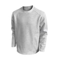 thumbnail image 1 of Ediodpoh Chandail Sans Capuchon pour Homme - Unisexe Automne Couleur Unie Col Rond Style Tenue Décontractée pour les Activités Quotidiennes Vêtement Polyvalent Confortable pour Superposition Chandail pour Homme Gris Pâle m, 1 of 4