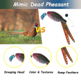 thumbnail image 4 of 2 Pcs Pheasant Dummy Bumper Toy for Hunting Retriever Dog Training, Hunting Duck Recognition Trainers,Ducks, 4 of 7