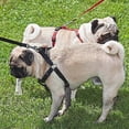 thumbnail image 3 of Adjustable Dog Car Seat Belt - Nylon Fabric, 360° Swivel, Safety Restraint - for Car Travel & Distraction-Free Driving, 3 of 4