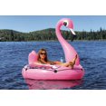 thumbnail image 3 of Pathfinder Flotteur Flamant Rose, 3 of 4