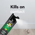 thumbnail image 4 of Raid Max Home Insect Killer, Kills Listed Bugs on Contact, For Indoor and Outdoor Use, 500g, 4 of 8