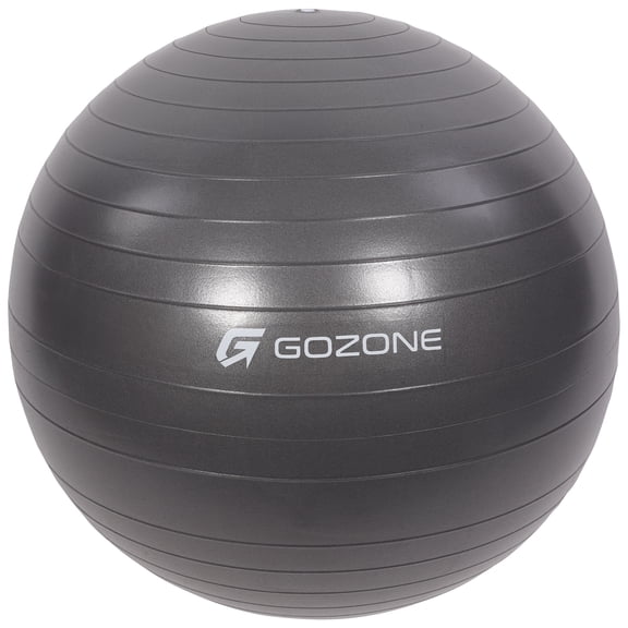 ballon de stabilité GoZone de 65 cm