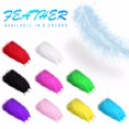 thumbnail image 1 of Vaidha 200 Pcs Feathers Natural Feathers Soft Feather Accessories for Christmas Card, 1 of 1