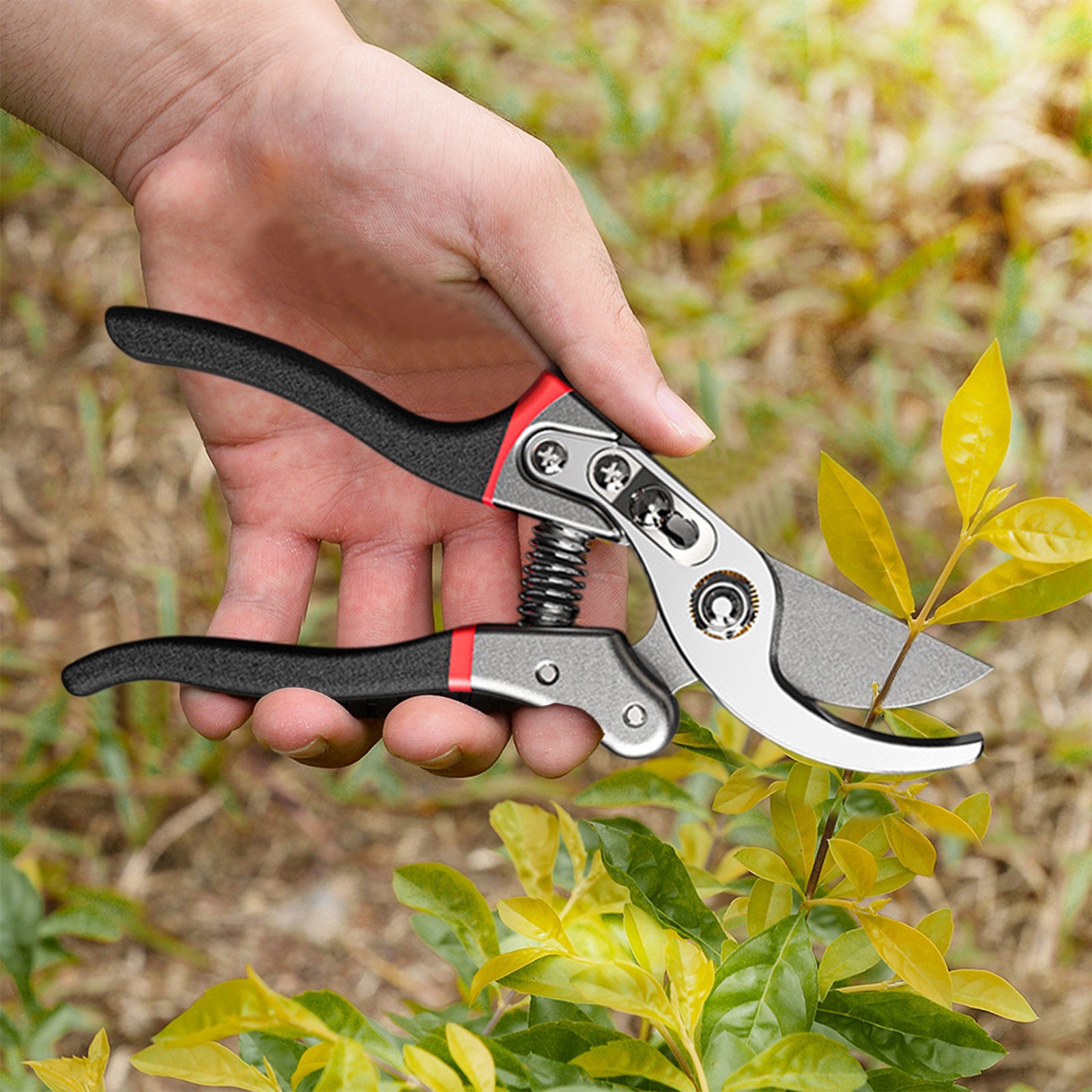 Suncoda Stainless Steel Pruning Shears, Pruning and Gardening Scissors Made of Superior Stainless Steel for Garden Potting and Trimming