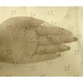 thumbnail image 4 of oneOone Viscose Chiffon Fabric Cat Face Animal Decor Fabric Printed BTY 42 Inch Wide, 4 of 4