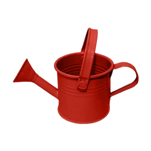 WIFKLSIIPG Galvanized Shower Bucket Tinplate Kettle Small Flower Pot Suitable for Indoor and Outdoor
