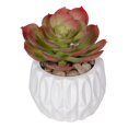 thumbnail image 3 of Tige de Plante Artificielle Succulente d'échévérie, 3 of 6