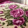 thumbnail image 4 of Thick Warm Winter Fleece Blanket For King Bed 2 Ply Reversible Soft Raschel Blanket,85"x93",10lb, 4 of 8