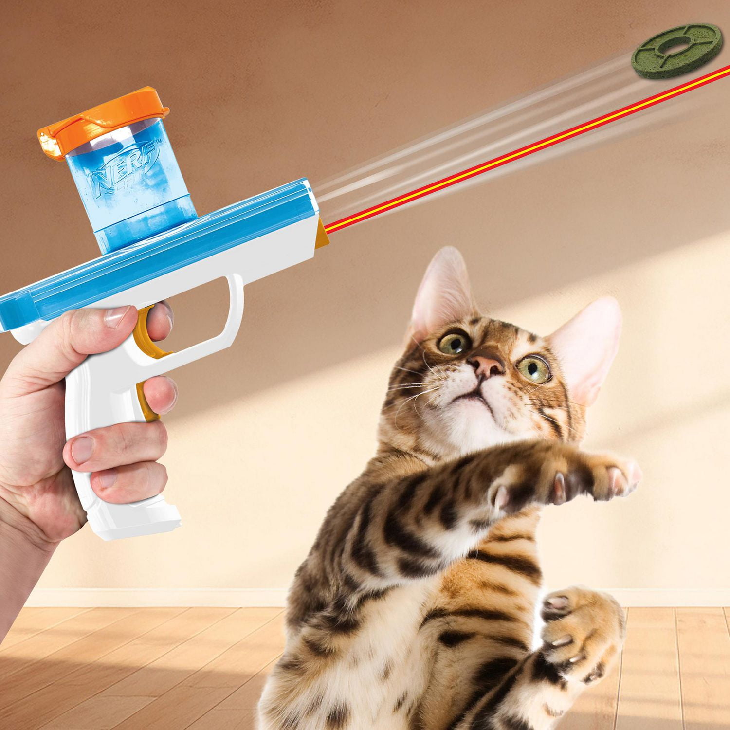 NERF Cat Disque d'Herbe à Chat pour Chats, Lot de 10