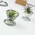 thumbnail image 4 of Air Plant Container Iron Frame Bracket Suitable for Plant Display And Home Decor 2.0*45*38mm, 4 of 9