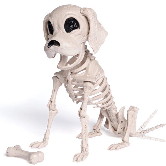Joyfy Halloween Skeleton Dog Skeleton Halloween Decor,9.8 Inch (25 cm) Pose-N-Stay Plastic Skeleton Bones with Posable Joints for Hallowmas Decoration Outdoor Haunted House Party