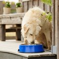 thumbnail image 3 of Farm Innovators Heated Pet Bowl with Stainless Steel Insert (3 Pack), 3 of 7