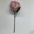thumbnail image 1 of Lilac Hydrangea Spray, 1 of 3