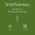 thumbnail image 4 of ScentSationals Scented Wax Cubes, Enchanted Woods, 4 of 5