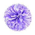 thumbnail image 1 of HBFAGFB Party Decorations Handheld Colorful Flower Event Sports Cheering Supplies Lightweight H, 1 of 4