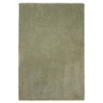 thumbnail image 1 of HomeRoots 352659 Tapis en Polyester Sauge 5 x 7 Pi, 1 of 1