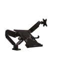 thumbnail image 1 of Bras articulé double moniteur Platinum Series, 1 of 5