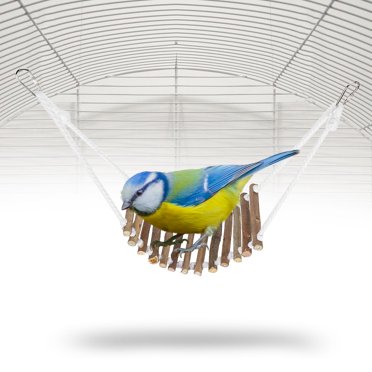 Wooden Ladder Bite Training Toy Bird Ladder Toy, Bird Wooden Ladder, Drawbridge for Parrots