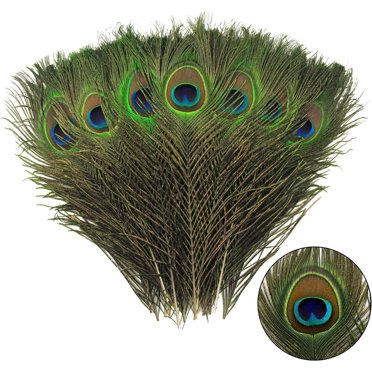 CNKOO 36 Pcs Plumes de Paon Naturelles en Vrac 10-12 Pouces 25-30cm pour Artisanat Vase Mariage Maison Fête Jour de Noël