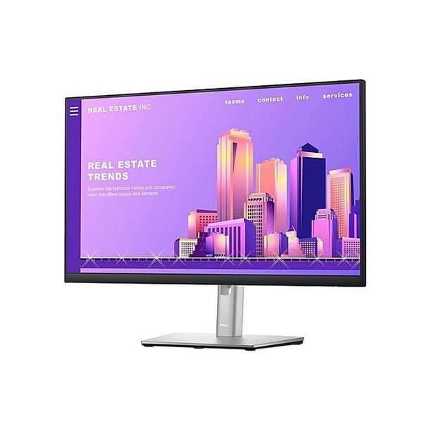 Dell 24 Monitor - P2422H - Full HD 1080p, IPS Technology