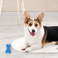 thumbnail image 2 of Indestructible Dog Toys - Super Chewer Toys for Medium/Large Dogs, TPR Material, Interactive Gift, 2 of 4