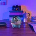 thumbnail image 2 of Star Projector Night Light Crack Dinosaur Sky Projector Color Night Light Led Full Sky Light Children's Gift Led Night Light, 2 of 3
