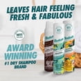 thumbnail image 2 of Batiste Brown Dry Shampoo Spray, For Brown & Auburn Hair, Refresh Hair and Absorb Oil Between Washes, Waterless Shampoo for Added Hair Texture and Body, 200-ml, 2 of 5