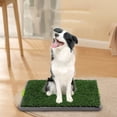 thumbnail image 1 of hengsof Dog Grass Pee Pad,Artificial Grass for Dogs Potty Training,Reusable Turf Grass Pads for Dogs with Hemmed Edge,Fake Grass Replacement Pads for dog Indoor and Outdoor, 1 of 9