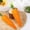 B, variant on TIMIFIS Foam Simulation Carrot Decorate, Easter Carrot Decoration Size Carrot Living Room Sofa Decoration Home Decor