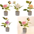 thumbnail image 4 of Two Small Bonsai Living Room Decoration Desk Desk Home Simulation Flower Decoration, 4 of 4