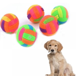 Squeaky Balls for Dogs Small  Fetch Balls for Dogs Rubber 2 Pack Bright Colors Puppy Toys Dog Toy Balls Dog Squeaky Toys Spike Ball Dog Chew Toys