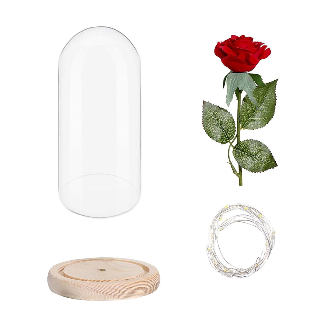 Rose Glass LED Lights Decoration holiday lighting for Party decoration
