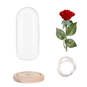 Rose Glass LED Lights Decoration holiday lighting for Party decoration