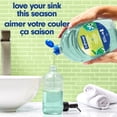 thumbnail image 4 of Softsoap Antibacterial Liquid Hand Soap, Fresh Citrus Scent, 1.47 L Refill, 4 of 9